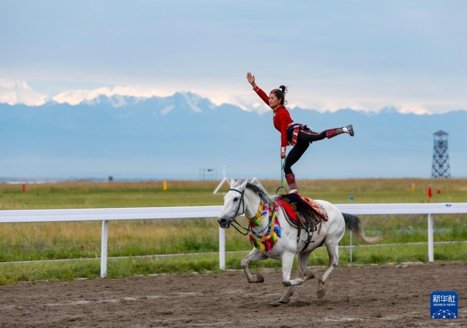 周三的节目 周三的节目