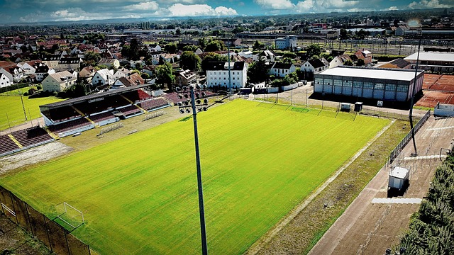 反观上海申 反观上海申