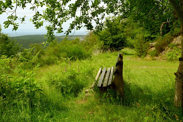 他注重传承 他注重传承